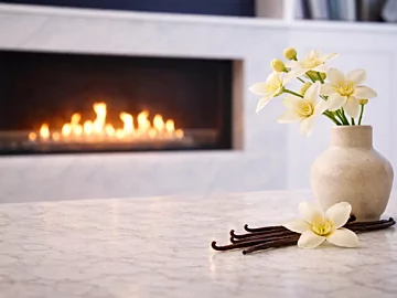 Vanilla Scent Render