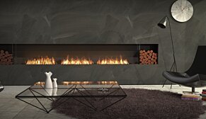 Flex 158SS.BX2 Fireplace Insert - In-Situ Image by EcoSmart Fire