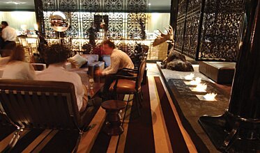 Long Room  - Ethanol burners