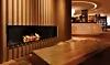 thumbnail: esf-xl900-ethanol-burner-keio-plaza-hotel.jpg